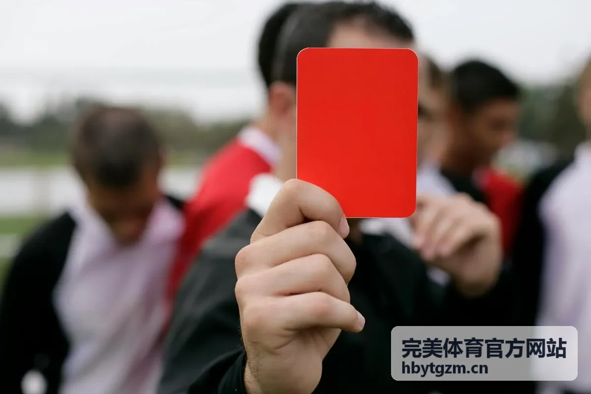 综合体育馆运营服务 完美体育官方网站