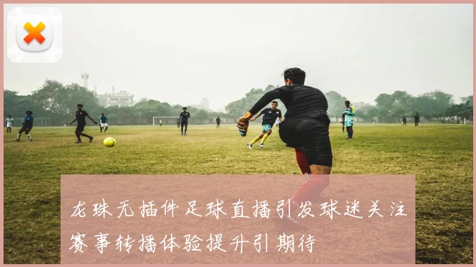 龙珠无插件足球直播引发球迷关注赛事转播体验提升引期待
