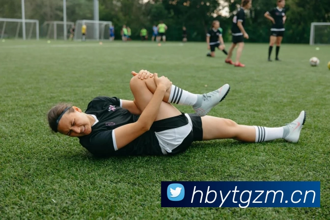 压球首页平台生态图